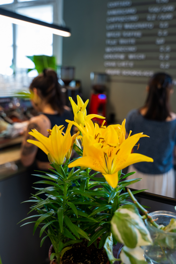 deutSCHule Café in Berlin - flowers